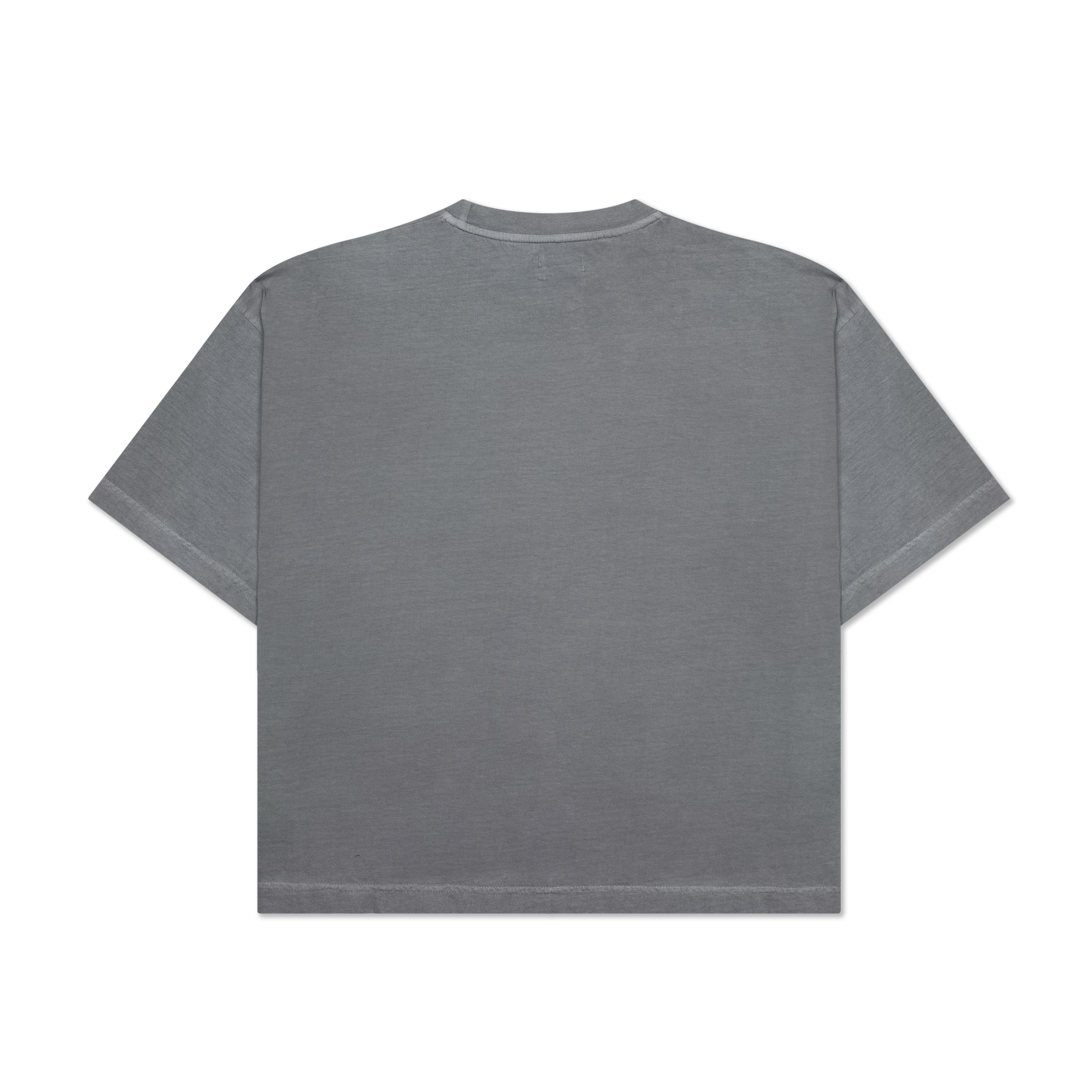 HANDWRITTEN EMBROIDERED T-SHIRT WASHED LIGHT GREY