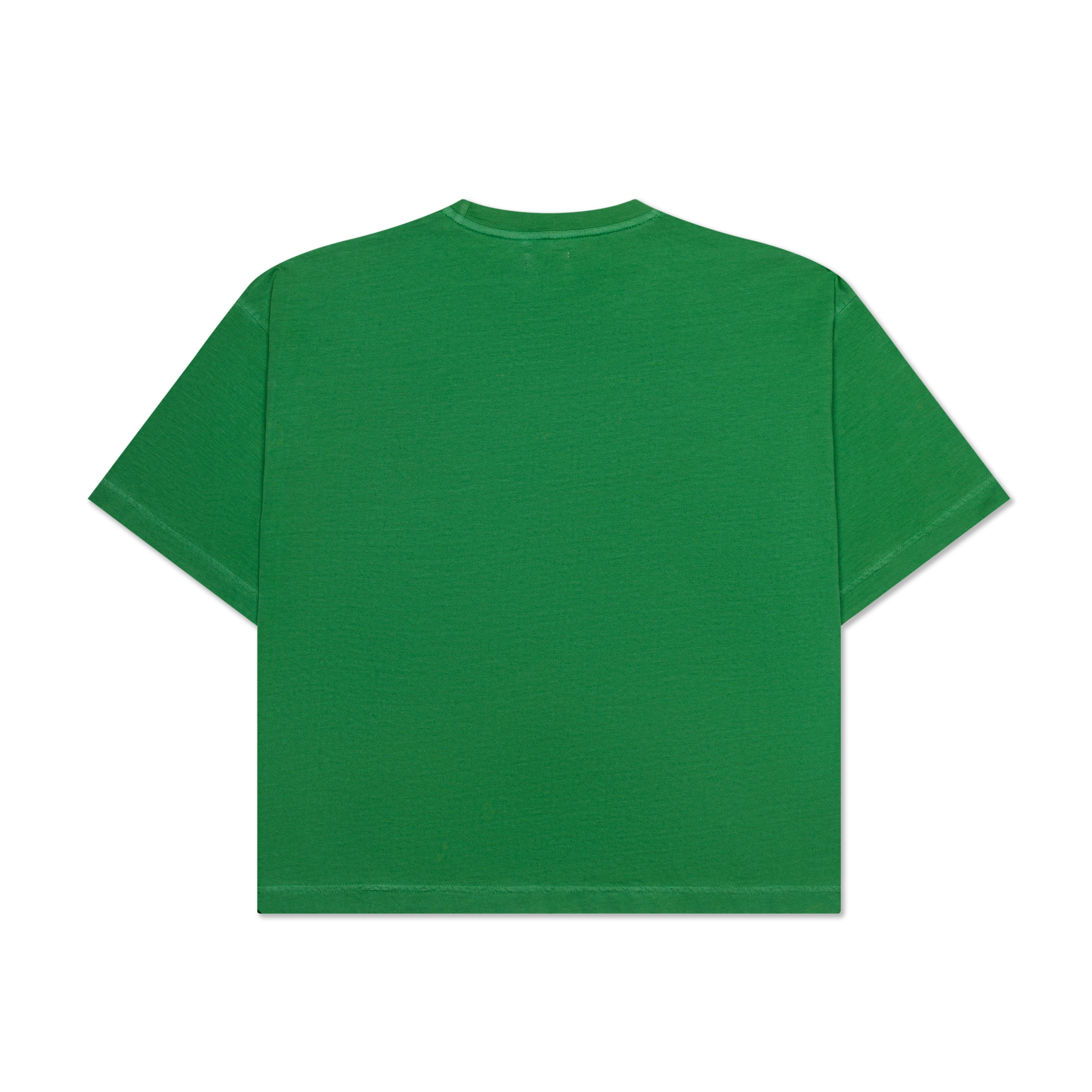 HANDWRITTEN EMBROIDERED T-SHIRT WASHED GREEN